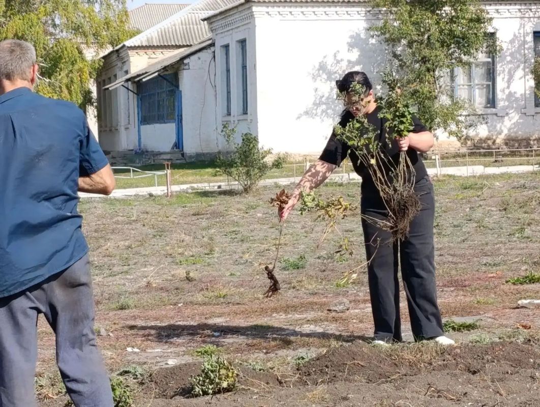 Забота о родном крае: как ТОС Осыково меняет облик села