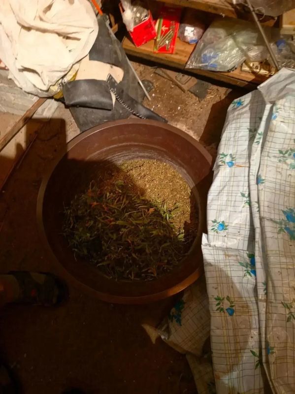 Полицейские выявили факт незаконного хранения наркотиков в Харцызске Полицейские выявили факт незаконного хранения наркотиков в Харцызске