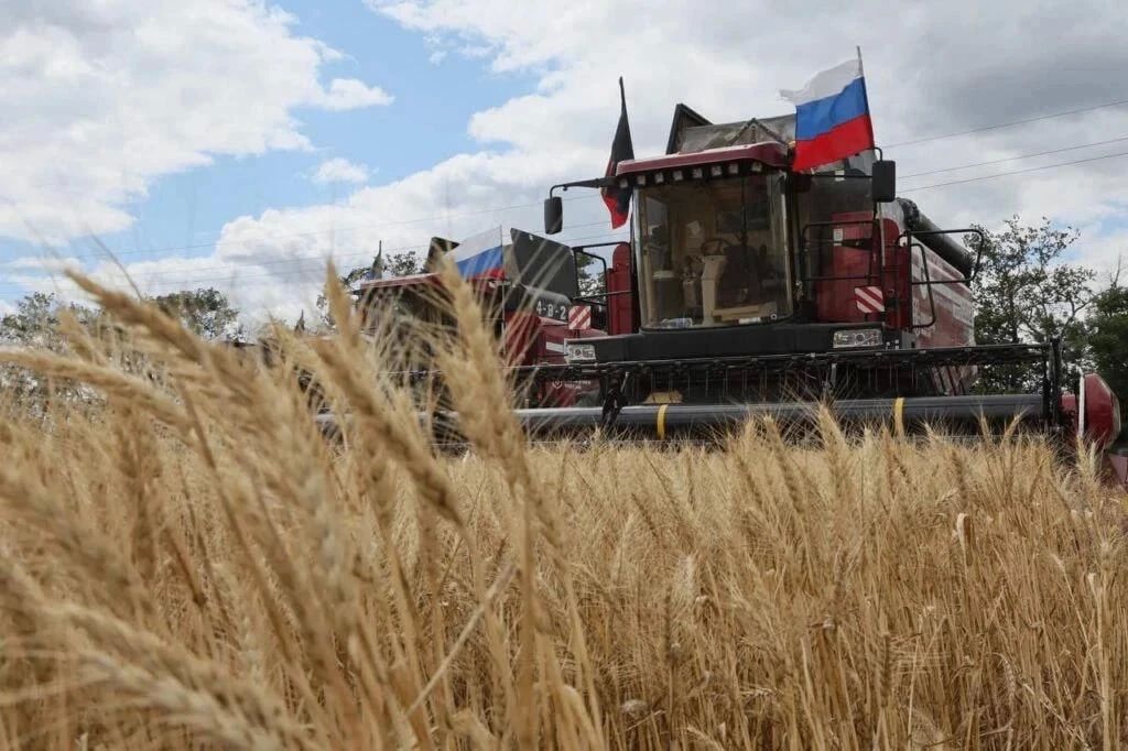Агрострахование с господдержкой: новые возможности для сельхозпроизводителей в Донбассе и Новороссии