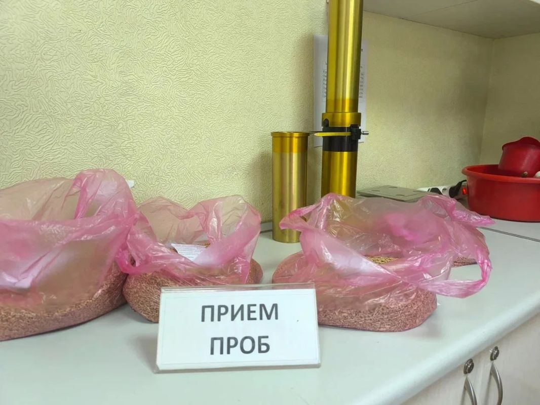191 тысяча гектаров: Донецк начал главную посевную года в ДНР 191 тысяча гектаров: Донецк начал главную посевную года в ДНР