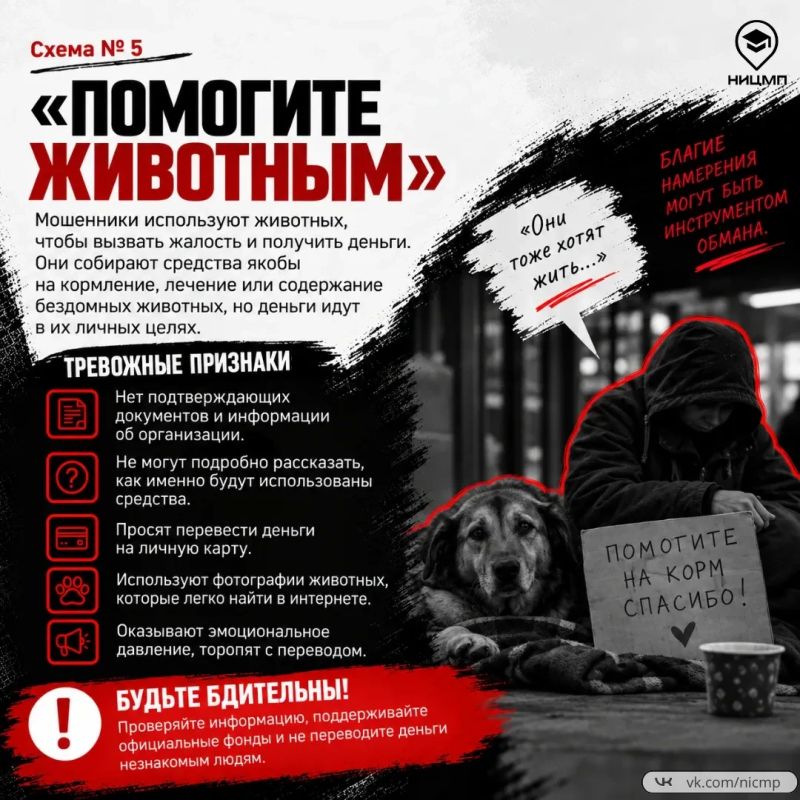 Мошенники могут рассказывать убедительные истории, торопить с решением, просить деньги наличными или переводом и использовать эмоциональное давление Мошенники могут рассказывать убедительные истории, торопить с решением, просить деньги наличными или переводом и использовать эмоциональное давление