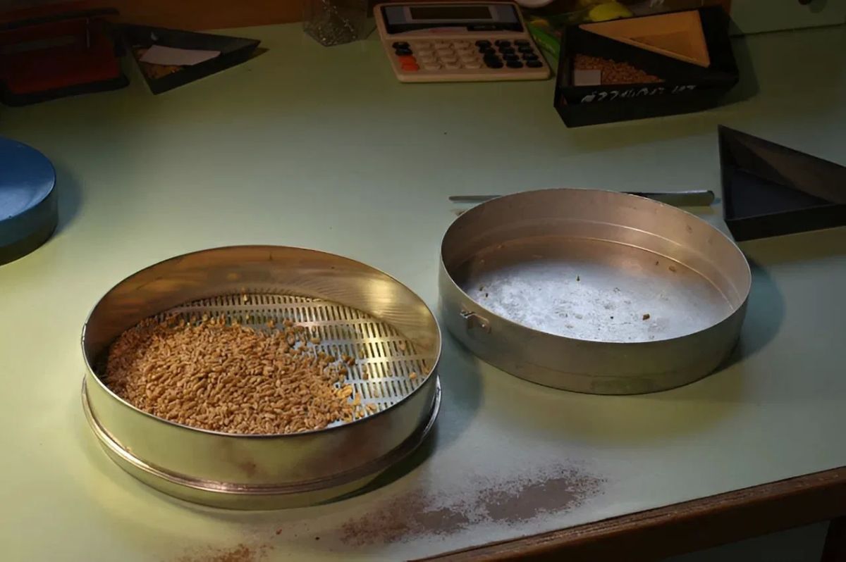 191 тысяча гектаров: Донецк начал главную посевную года в ДНР