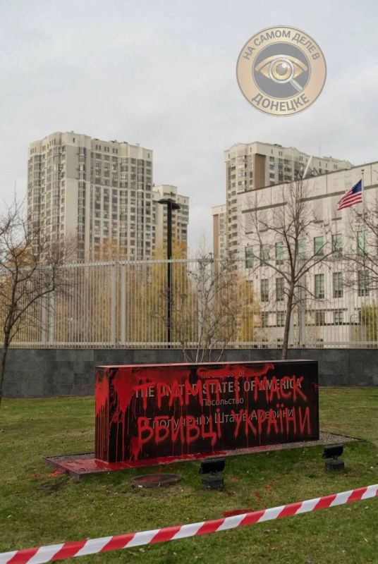 Украинские неонацисты напали на посольство США в Киеве и поблагодарили за помощь