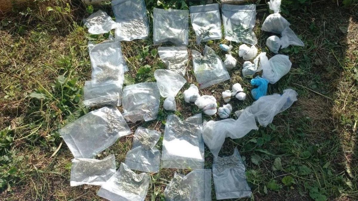В Орловской области полицейские нашли у сельчанина 279 кустов конопли и один килограмм марихуаны В Орловской области полицейские нашли у сельчанина 279 кустов конопли и один килограмм марихуаны