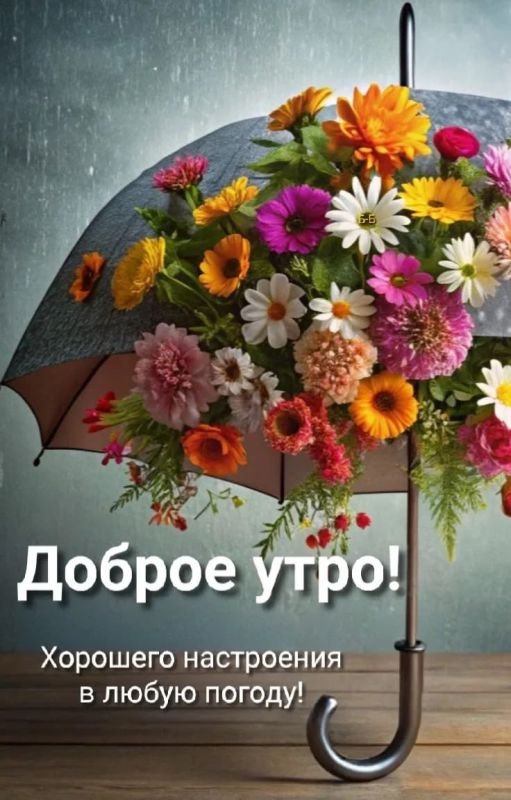 Хорошего дня!. Официальный сайт администрации