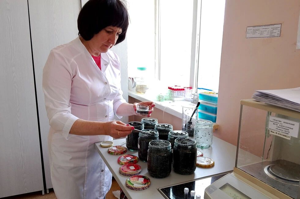 Легальную икру отличают от браконьерской с помощью ДНК-тестов