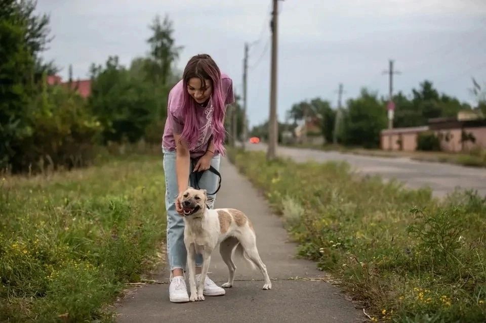 Нехватка рук и переполненные вольеры: в чем сегодня нуждаются приюты для животных в ДНР Нехватка рук и переполненные вольеры: в чем сегодня нуждаются приюты для животных в ДНР
