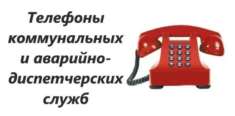 Наталья Великодная: Республиканская акция «Учиться в Донбассе»: вместе творим и растём! Наталья Великодная: Республиканская акция «Учиться в Донбассе»: вместе творим и растём!