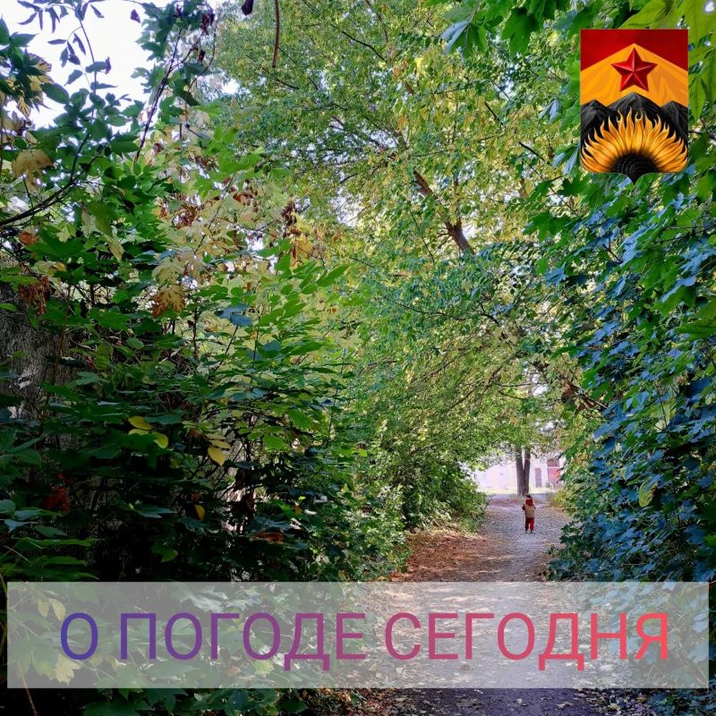 Александр Шатов: Гидрометцентр сообщил о погоде в Шахтерском округе