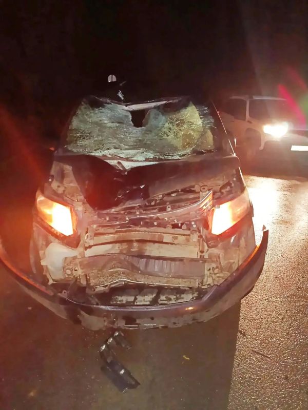 В Енакиево в ДТП погиб велосипедист