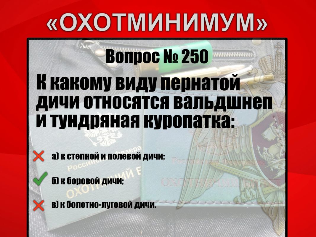 #Охотминимум #Охотминимум
