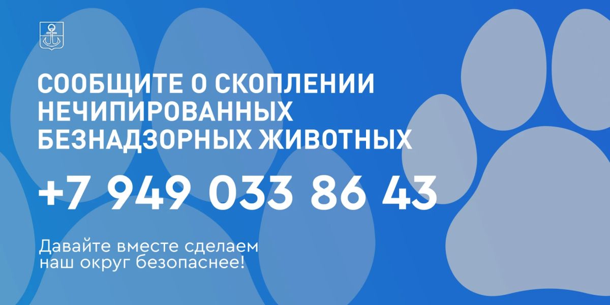 В Мариуполе продолжается кампания по отлову и стерилизации безнадзорных животных