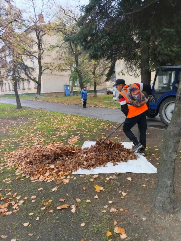 Коммунальщики Снежного продолжают благоустраивать территории общего пользования Коммунальщики Снежного продолжают благоустраивать территории общего пользования