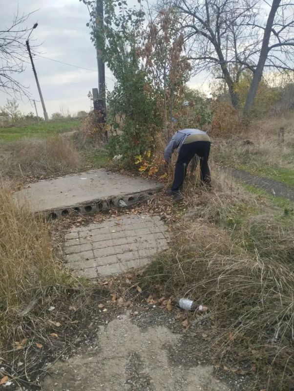 Елена Рязанцева: Сегодня Управой Пролетарского внутригородского района ведутся работы по покосу травы, вырубке поросли вдоль пешеходной дорожки по ул. Дудинская