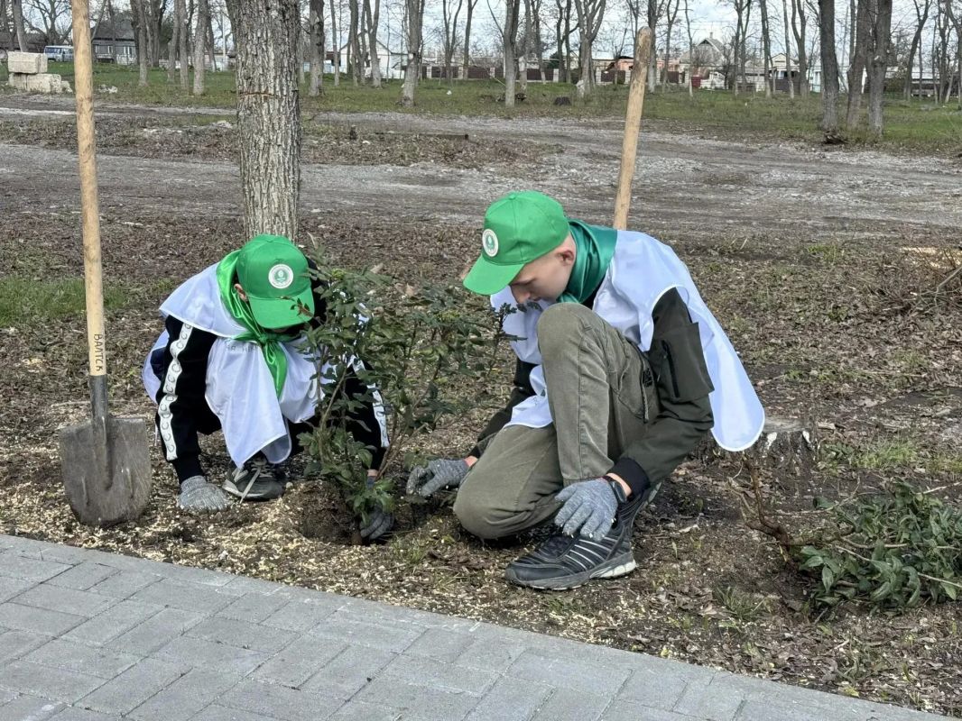 В Минприроды ДНР подвели предварительные итоги развития движения школьных лесничеств за 2026 год