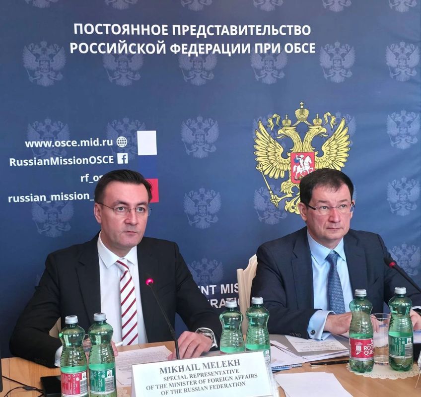 Дарья Морозова: Выступила на «Венских дискуссиях» по проблематике гуманитарного измерения ОБСЕ, организованных Постоянным представительством Российской Федерации при ОБСЕ Дарья Морозова: Выступила на «Венских дискуссиях» по проблематике гуманитарного измерения ОБСЕ, организованных Постоянным представительством Российской Федерации при ОБСЕ