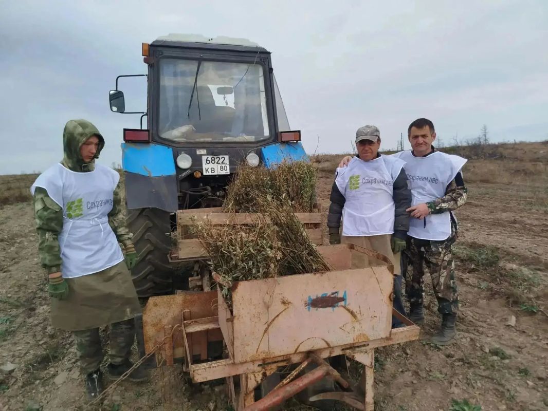 В Амвросиевском МО высадили деревья в рамках акции «Сохраним лес» В Амвросиевском МО высадили деревья в рамках акции «Сохраним лес»