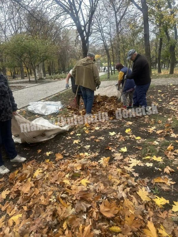 Сотрудники Дирекции парков продолжают работу по благоустройству территорий Сотрудники Дирекции парков продолжают работу по благоустройству территорий