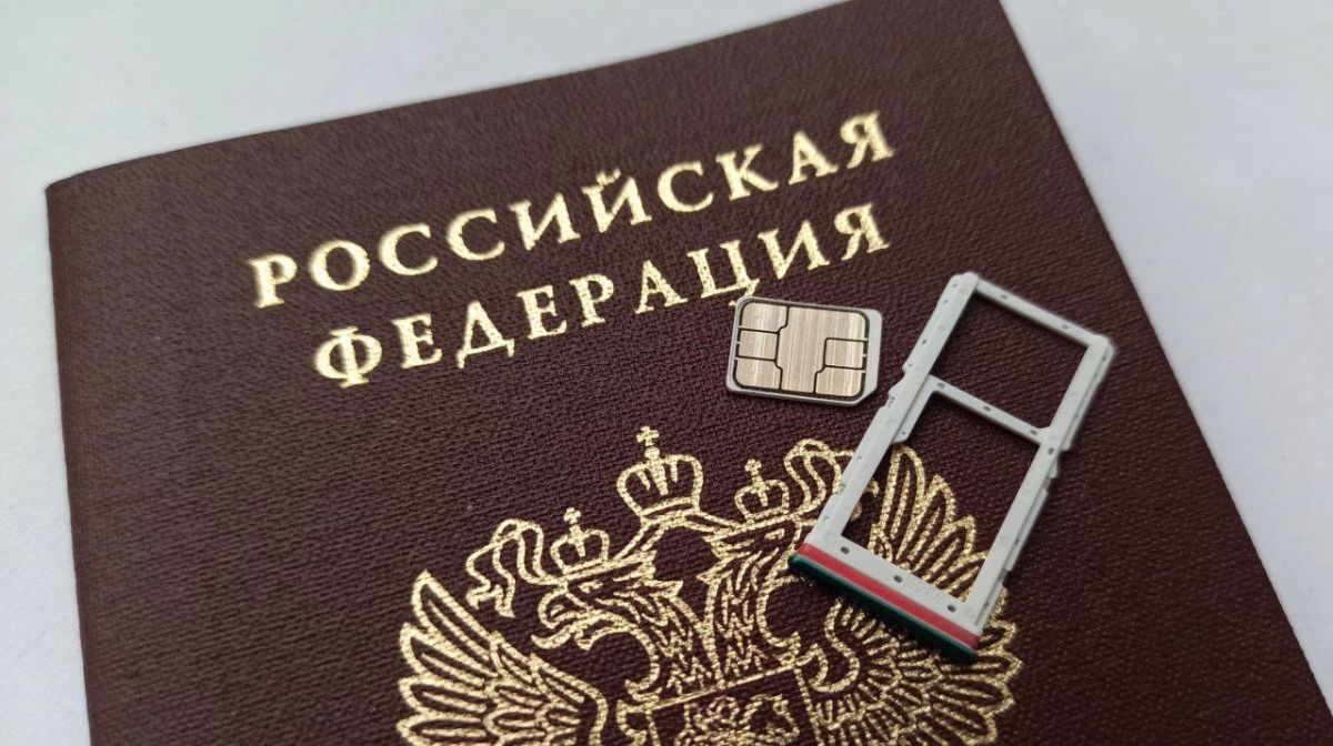 QR-код вместо паспорта: как оформить цифровой документ на «Госуслугах» и где его принимают