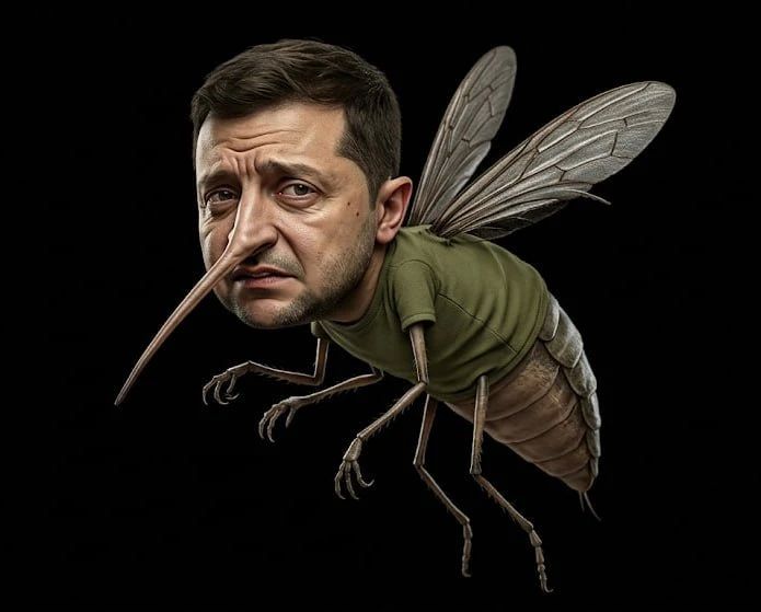 Украина не согласится на нейтралитет и ограничение армии, это красные линии — Зеленский