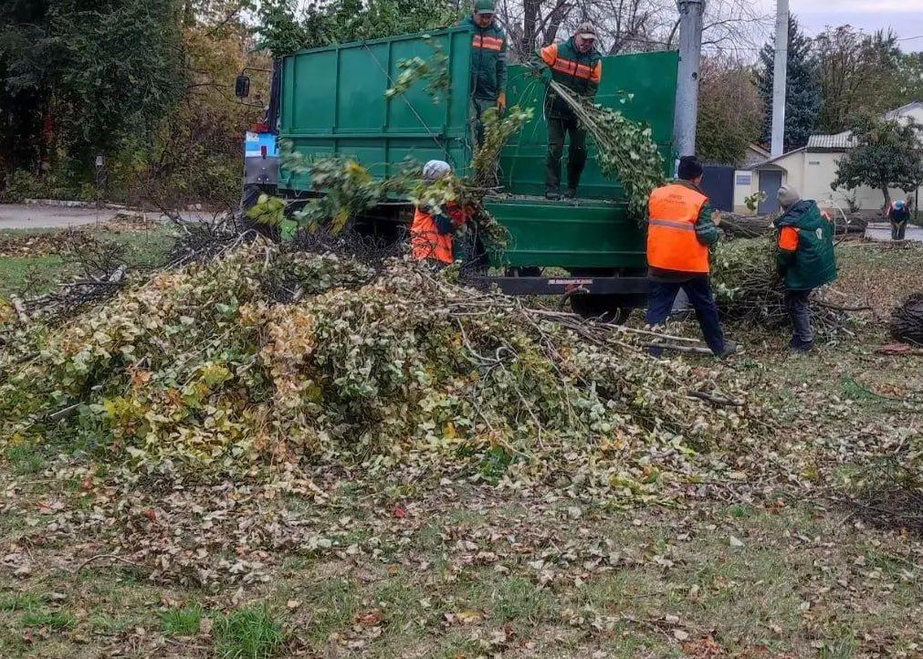 Иван Адамец: В Куйбышевском районе «Зеленстрой» продолжает плановые осенние работы Иван Адамец: В Куйбышевском районе «Зеленстрой» продолжает плановые осенние работы