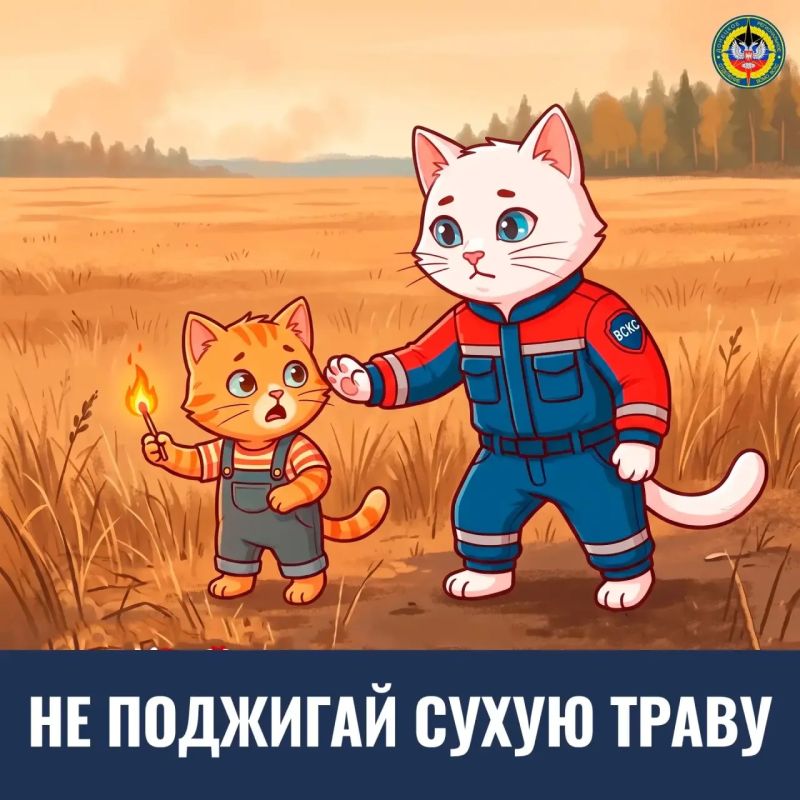 Осень — особое время года… Осень — особое время года…