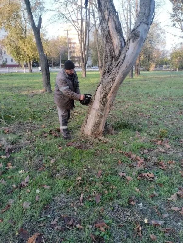 Мариупольские коммунальные службы продолжают ежедневную работу по созданию чистоты и уюта во всех районах города