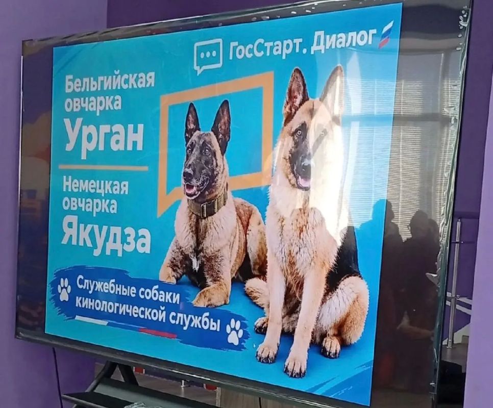 Профессия кинолога: сотрудники ИК-7 рассказали молодежи о службе в УИС и подготовке служебных собак