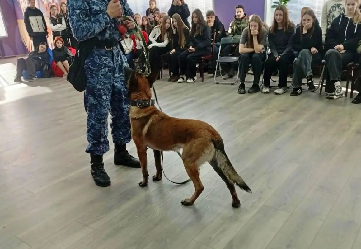 Профессия кинолога: сотрудники ИК-7 рассказали молодежи о службе в УИС и подготовке служебных собак Профессия кинолога: сотрудники ИК-7 рассказали молодежи о службе в УИС и подготовке служебных собак