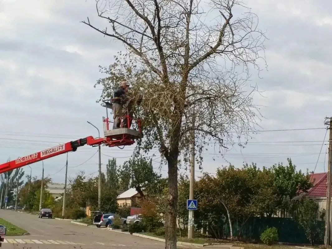 Мариупольские коммунальные службы продолжают ежедневную работу по созданию чистоты и уюта во всех районах города Мариупольские коммунальные службы продолжают ежедневную работу по созданию чистоты и уюта во всех районах города