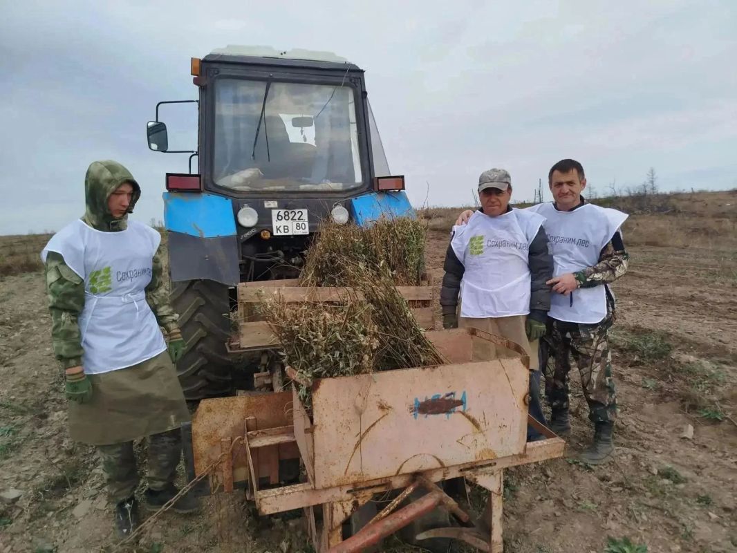В Амвросиевском муниципальном округе высадили деревья в рамках акции «Сохраним лес» В Амвросиевском муниципальном округе высадили деревья в рамках акции «Сохраним лес»