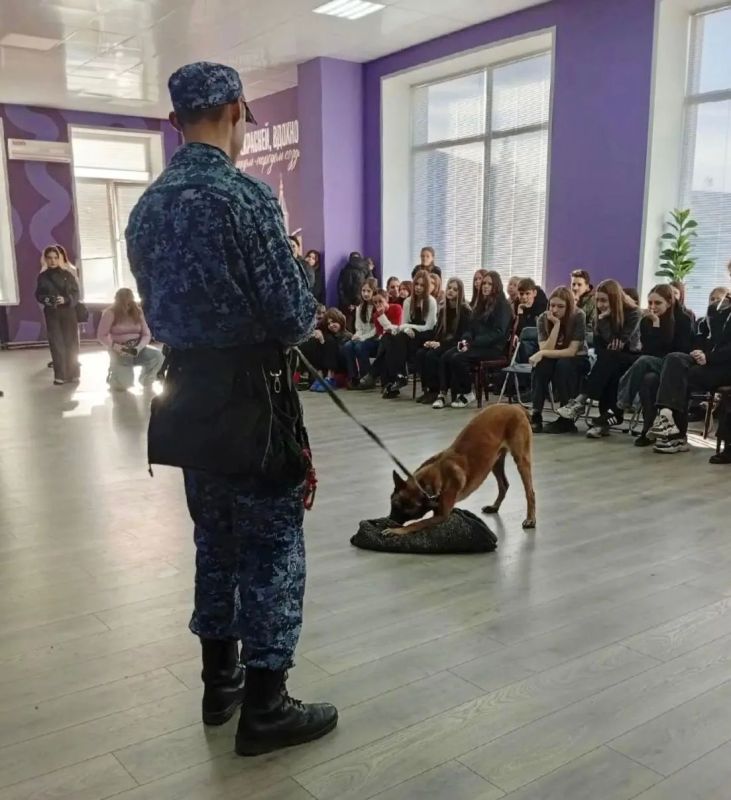 Профессия кинолога: сотрудники ИК-7 рассказали молодежи о службе в УИС и подготовке служебных собак Профессия кинолога: сотрудники ИК-7 рассказали молодежи о службе в УИС и подготовке служебных собак