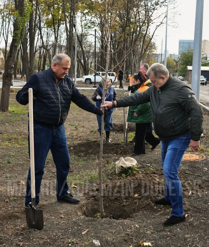 Алексей Кулемзин: Сегодня принял участие в еженедельной экологической акции «Чистый четверг», в рамках которой вместе с сотрудниками Управы Куйбышевского района высадили 25 саженцев остролистного клёна в сквере по проспекту... Алексей Кулемзин: Сегодня принял участие в еженедельной экологической акции «Чистый четверг», в рамках которой вместе с сотрудниками Управы Куйбышевского района высадили 25 саженцев остролистного клёна в сквере по проспекту...