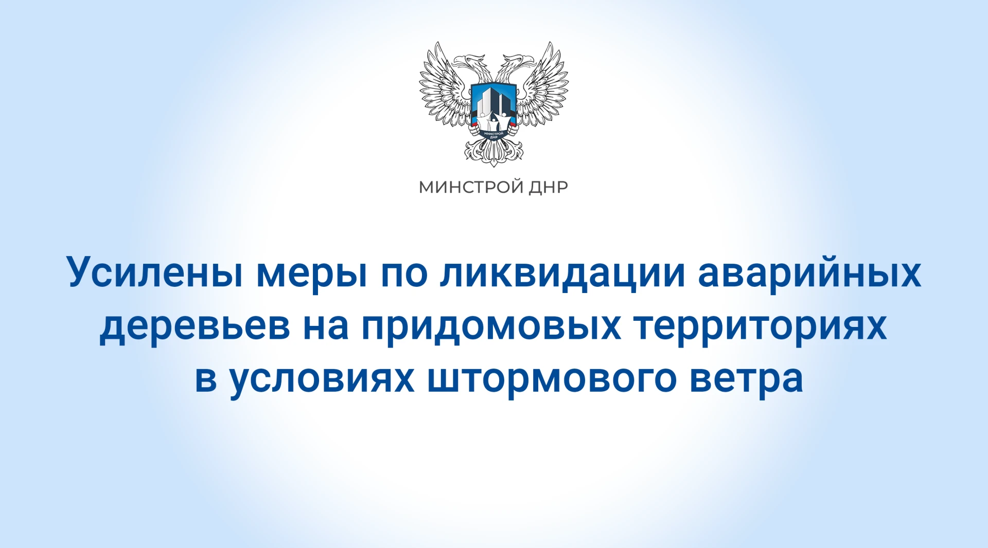 Усилены меры по ликвидации аварийных деревьев
