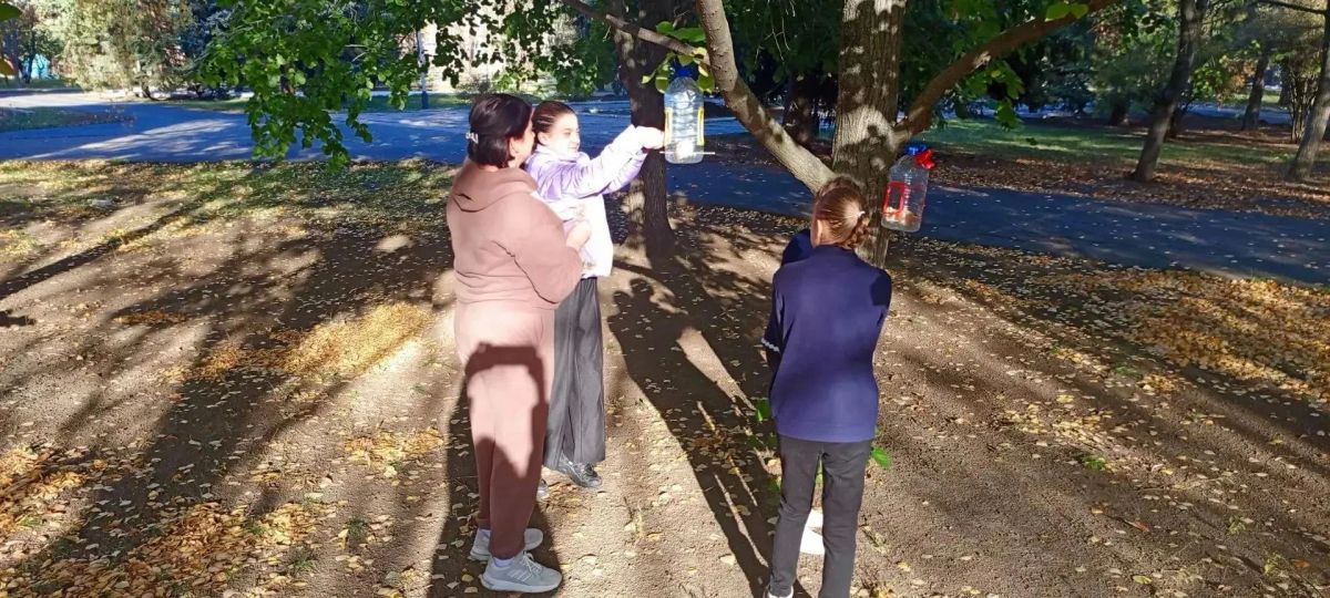 поможем пернатым пережить зиму! поможем пернатым пережить зиму!