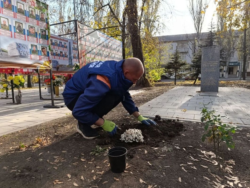 Благодаря проекту "Зелёная экономика" и неустанным усилиям депутатов Торезского городского совета Анны Матраевой и Елены Жировой у "Аллеи Памяти" расцвели новые хризантемы! Благодаря проекту "Зелёная экономика" и неустанным усилиям депутатов Торезского городского совета Анны Матраевой и Елены Жировой у "Аллеи Памяти" расцвели новые хризантемы!