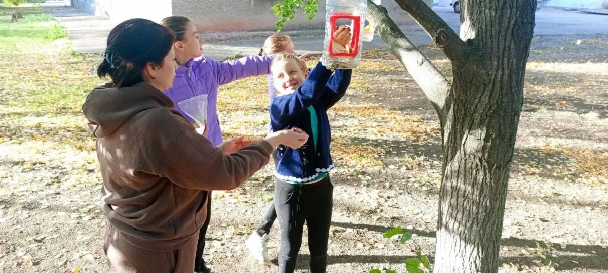 поможем пернатым пережить зиму! поможем пернатым пережить зиму!