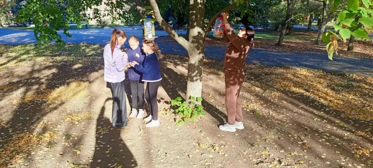 поможем пернатым пережить зиму! поможем пернатым пережить зиму!